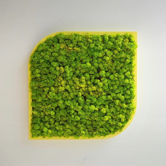 BuzziSpace akoestisch wandpaneel BuzziMood Square Leaf Moss door Cory Grosser