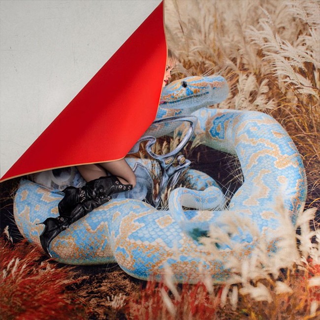 Moooi Carpets vloerkleed Extinct Animals door Ada Sokól